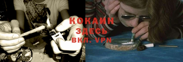 прущие крисы Аркадак